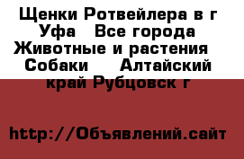 Щенки Ротвейлера в г.Уфа - Все города Животные и растения » Собаки   . Алтайский край,Рубцовск г.